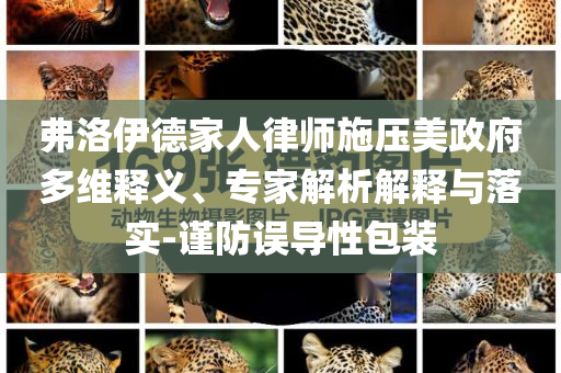 弗洛伊德家人律師施壓美政府多維釋義、專家解析解釋與落實(shí)-謹(jǐn)防誤導(dǎo)性包裝
