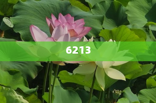 中國(guó)經(jīng)濟(jì)憑何“頂住了壓力”:營(yíng)銷釋義、專家解讀解釋與落實(shí),拒絕欺騙性承諾