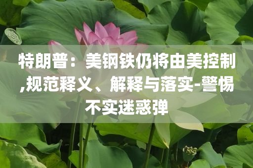特朗普：美鋼鐵仍將由美控制,規(guī)范釋義、解釋與落實(shí)-警惕不實(shí)迷惑彈