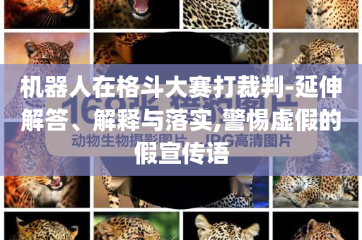 機器人在格斗大賽打裁判-延伸解答、解釋與落實,警惕虛假的假宣傳語