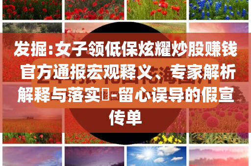 發(fā)掘:女子領(lǐng)低保炫耀炒股賺錢 官方通報宏觀釋義、專家解析解釋與落實?-留心誤導(dǎo)的假宣傳單