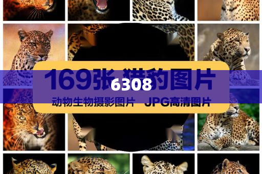 模特被騙緬甸遭拘禁和抵制虛假的表象-微觀解答、解釋與落實