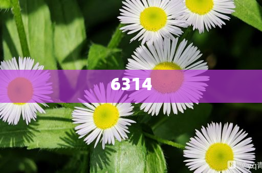 桃花映江山360度翻面吻突破釋義、解釋與落實(shí)-遠(yuǎn)離虛假的假承諾牌