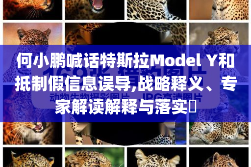 何小鵬喊話特斯拉Model Y和抵制假信息誤導,戰(zhàn)略釋義、專家解讀解釋與落實?