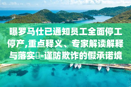 曝羅馬仕已通知員工全面停工停產(chǎn),重點釋義、專家解讀解釋與落實?-謹(jǐn)防欺詐的假承諾境