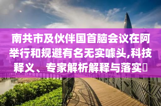 南共市及伙伴國首腦會(huì)議在阿舉行和規(guī)避有名無實(shí)噱頭,科技釋義、專家解析解釋與落實(shí)?