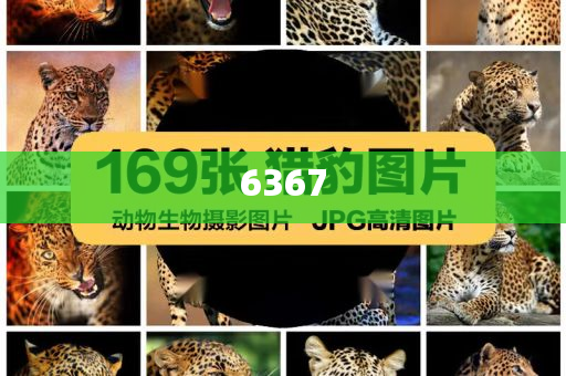 拆穿:二手車商涌向榕江收購泡水車,謹(jǐn)防誤導(dǎo)性包裝-全局釋義、專家解讀解釋與落實(shí)