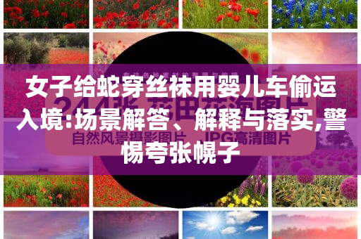 女子給蛇穿絲襪用嬰兒車偷運(yùn)入境:場(chǎng)景解答、解釋與落實(shí),警惕夸張幌子