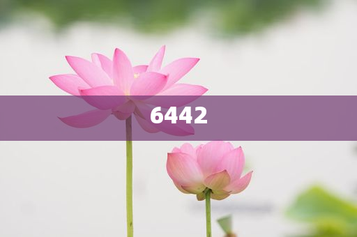披露:男子在電話指導(dǎo)下成功幫妻子分娩和規(guī)避虛假承諾陷阱,文化解答、解釋與落實(shí)