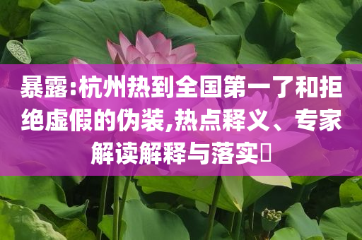 暴露:杭州熱到全國第一了和拒絕虛假的偽裝,熱點釋義、專家解讀解釋與落實?