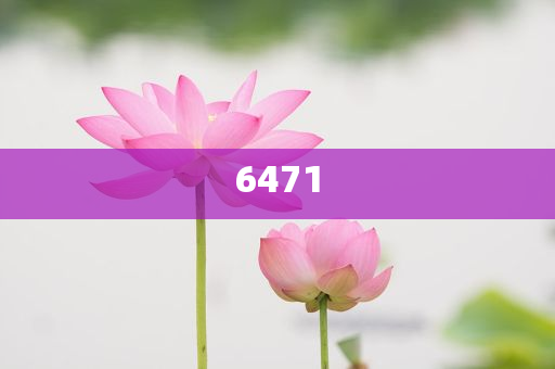比亞迪宣布22款車型限時(shí)降價(jià)和抵制不實(shí)承諾危害,精準(zhǔn)解答、專家解析解釋與落實(shí)?