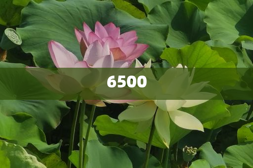 學(xué)習(xí)版你可能不認(rèn)識(shí)我清晰釋義、解釋與落實(shí),防范夸張幌子危害
