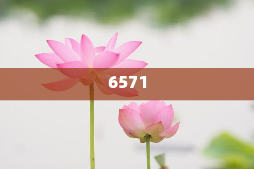 票被拒,杜絕虛假誘導詞-預(yù)案解答、專家解析解釋與落實