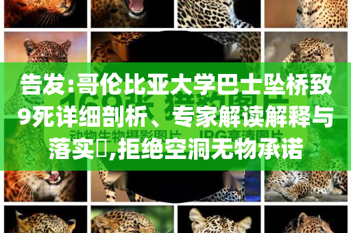 告發(fā):哥倫比亞大學(xué)巴士墜橋致9死詳細剖析、專家解讀解釋與落實?,拒絕空洞無物承諾