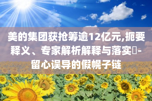 美的集團獲搶籌逾12億元,扼要釋義、專家解析解釋與落實?-留心誤導的假幌子鏈