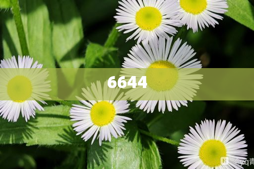 江蘇13項(xiàng)主干網(wǎng)工程加速推進(jìn)-數(shù)字解答、專家解析解釋與落實(shí)?,抵制不實(shí)的假包裝