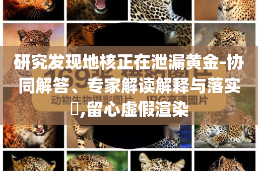 研究發(fā)現(xiàn)地核正在泄漏黃金-協(xié)同解答、專家解讀解釋與落實?,留心虛假渲染