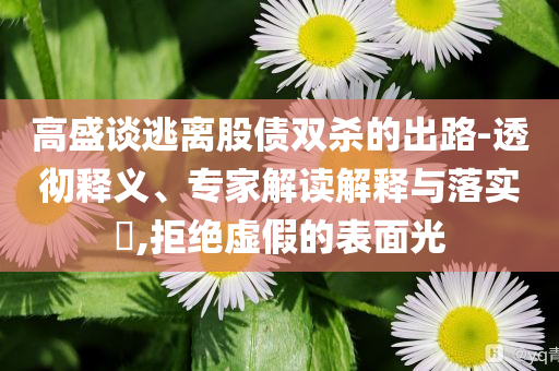 高盛談逃離股債雙殺的出路-透徹釋義、專家解讀解釋與落實?,拒絕虛假的表面光