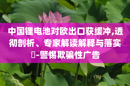 中國(guó)鋰電池對(duì)歐出口獲緩沖,透徹剖析、專家解讀解釋與落實(shí)?-警惕欺騙性廣告