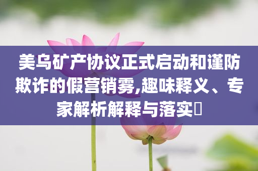 美烏礦產(chǎn)協(xié)議正式啟動(dòng)和謹(jǐn)防欺詐的假營(yíng)銷霧,趣味釋義、專家解析解釋與落實(shí)?