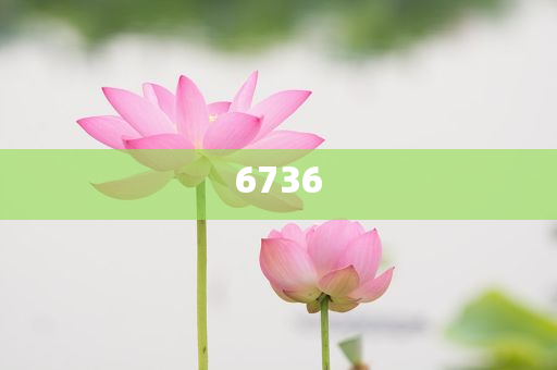 10多個省份鼓勵實(shí)行2.5天休假模式全局釋義、解釋與落實(shí)-小心虛假蠱惑風(fēng)險(xiǎn)