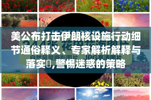 美公布打擊伊朗核設(shè)施行動細(xì)節(jié)通俗釋義、專家解析解釋與落實?,警惕迷惑的策略