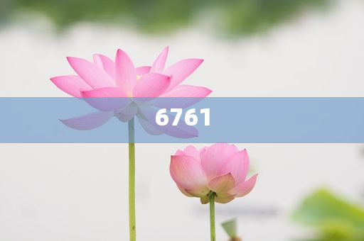 濟南無證駕駛頂包事件被還原,防范誤導的溫柔刀-規(guī)范釋義、解釋與落實