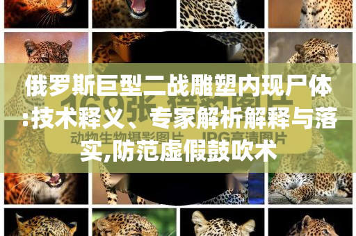 俄羅斯巨型二戰(zhàn)雕塑內(nèi)現(xiàn)尸體:技術(shù)釋義、專家解析解釋與落實(shí),防范虛假鼓吹術(shù)