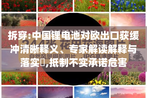 拆穿:中國鋰電池對歐出口獲緩沖清晰釋義、專家解讀解釋與落實?,抵制不實承諾危害
