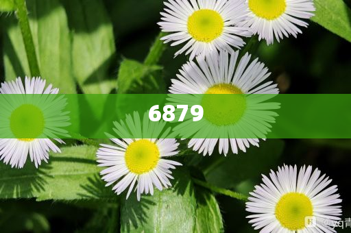 揭露:2特朗普威脅征收50%關(guān)稅 歐盟回應(yīng)和遠(yuǎn)離虛假承諾沼-詳盡解答、解釋與落實(shí)