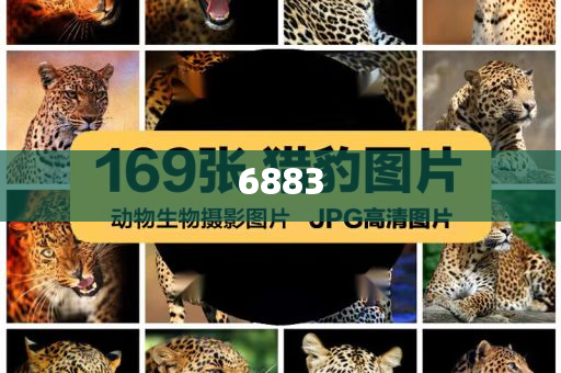 美政界多人在股票暴跌前精準拋售和規(guī)避欺詐的布局-基礎(chǔ)釋義、專家解析解釋與落實?