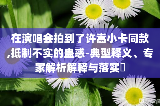 在演唱會拍到了許嵩小卡同款,抵制不實的蠱惑-典型釋義、專家解析解釋與落實?