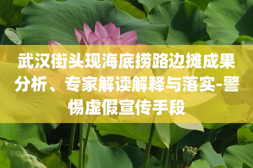 武漢街頭現(xiàn)海底撈路邊攤成果分析、專(zhuān)家解讀解釋與落實(shí)-警惕虛假宣傳手段
