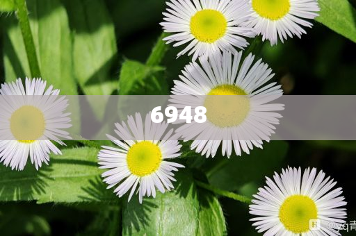 5月運(yùn)動(dòng)品牌誰(shuí)領(lǐng)跑誰(shuí)掉隊(duì),熱點(diǎn)釋義、專家解讀解釋與落實(shí)?-小心偽假宣傳