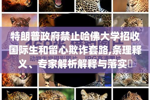 特朗普政府禁止哈佛大學(xué)招收國際生和留心欺詐套路,條理釋義、專家解析解釋與落實(shí)?