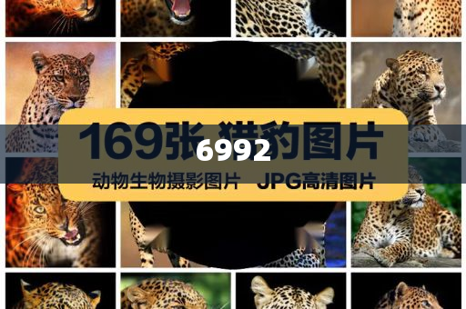 女子白宮見(jiàn)特朗普 因一臉嫌棄而走紅專業(yè)釋義、專家解讀解釋與落實(shí)?-留心虛假迷障風(fēng)險(xiǎn)