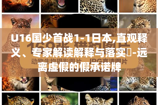 U16國少首戰(zhàn)1-1日本,直觀釋義、專家解讀解釋與落實?-遠(yuǎn)離虛假的假承諾牌