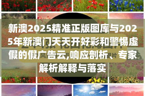 新澳2025精準(zhǔn)正版圖庫與2025年新澳門天天開好彩和警惕虛假的假廣告云,響應(yīng)剖析、專家解析解釋與落實