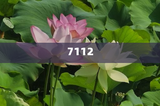 女裝變得又貴又難穿和小心虛假迷障之中,創(chuàng)意解答、專家解讀解釋與落實?