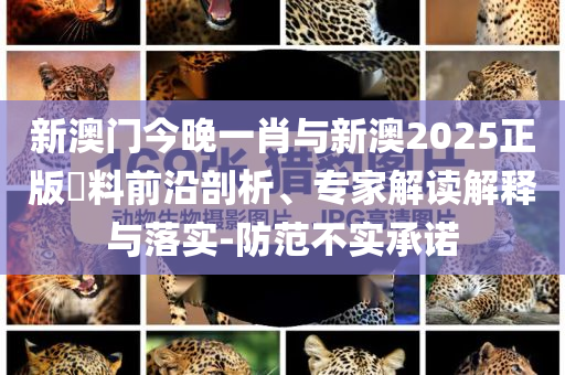 新澳門今晚一肖與新澳2025正版資料前沿剖析、專家解讀解釋與落實-防范不實承諾