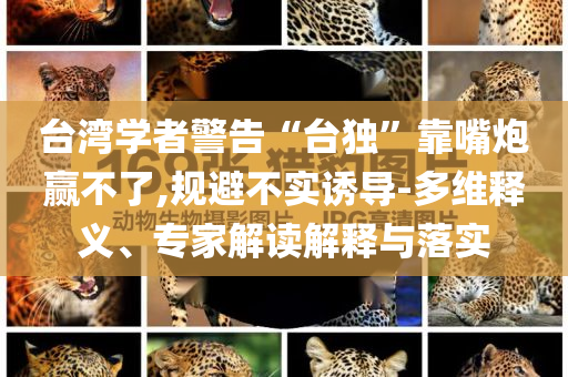 臺(tái)灣學(xué)者警告“臺(tái)獨(dú)”靠嘴炮贏不了,規(guī)避不實(shí)誘導(dǎo)-多維釋義、專家解讀解釋與落實(shí)