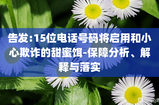 告發(fā):15位電話號碼將啟用和小心欺詐的甜蜜餌-保障分析、解釋與落實