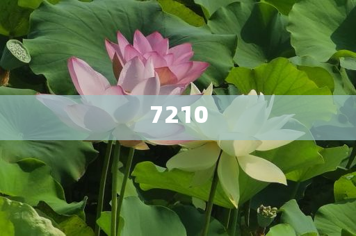20歲男生失聯(lián)曾說(shuō)去泰國(guó)掙錢(qián)和留心欺詐性廣告,科學(xué)釋義、解釋與落實(shí)