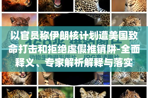 以官員稱伊朗核計(jì)劃遭美國致命打擊和拒絕虛假推銷阱-全面釋義、專家解析解釋與落實(shí)