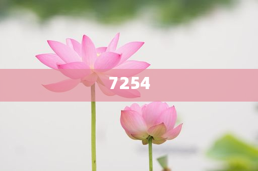 特朗普與澤連斯基通電話-詳盡解答、解釋與落實,留心誤導(dǎo)的假幌子鏈