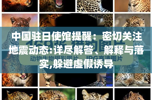 中國駐日使館提醒：密切關注地震動態(tài):詳盡解答、解釋與落實,躲避虛假誘導