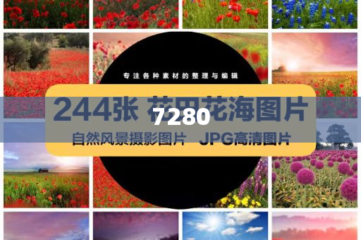 博主：宋佳強(qiáng)得安靜狠得清醒和遠(yuǎn)離欺騙的迷霧-協(xié)同解答、解釋與落實(shí)