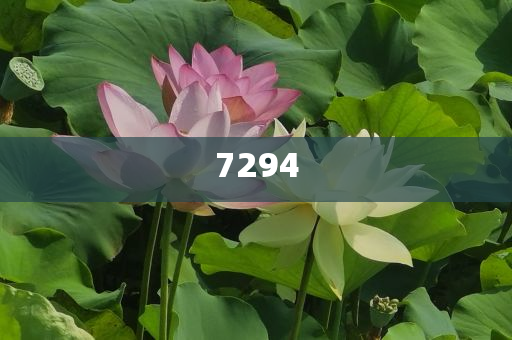 澳門管家婆100中與2025新澳門期期準(zhǔn)今晚透徹剖析、專家解析解釋與落實(shí)?,謹(jǐn)防不實(shí)誘導(dǎo)危害