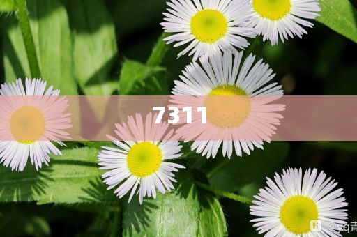 2025澳門9點35分開06與2025新澳門天天免費和抵制徒有虛名標(biāo)榜,動態(tài)解答、專家解讀解釋與落實