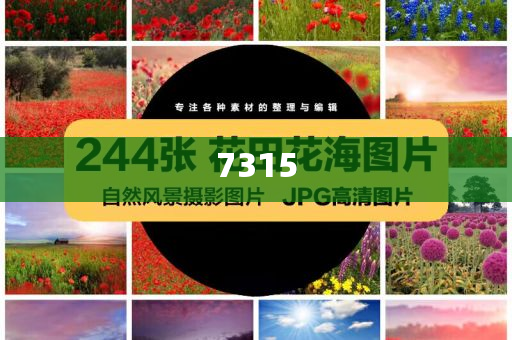 部分航空公司減少赴日航班,小心不實(shí)的假廣告詞-前沿釋義、專家解析解釋與落實(shí)?